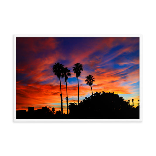Palm silhouettes rise against a vivid red, orange, and blue sunrise sky in Pacific Beach; white frame, 24 × 36 inches.