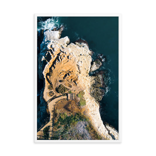 GoldfIsh Point Framed poster