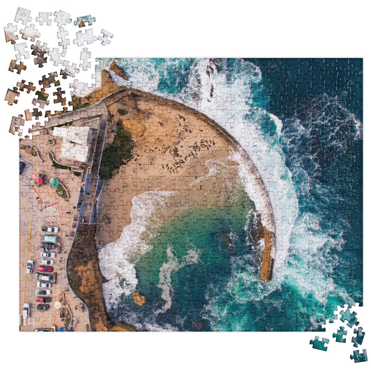 Children's Pool Jigsaw puzzle